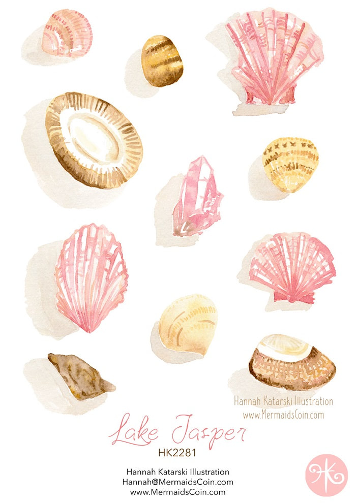 pink watercolour shells