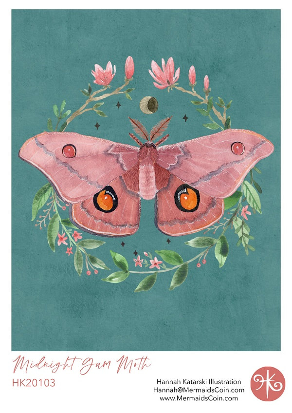 watercolour moth illustration